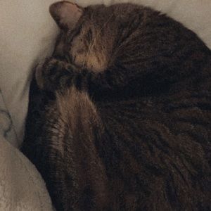 Meet your Posher, Kathryn